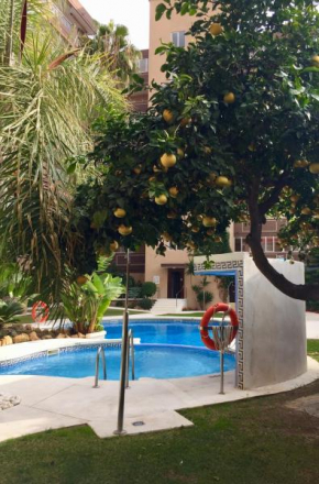 Palm Beach Apartment, 1 bedroom, pool, beautiful garden, parking